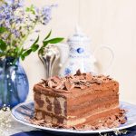 Bizcochuelo Berlinesa